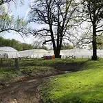 Nyaraló Domaine Ecoline *